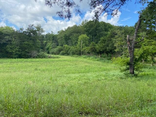 0 Pleasant Hill Road Philadelphia, TN 37846 - Photo 5 of 17