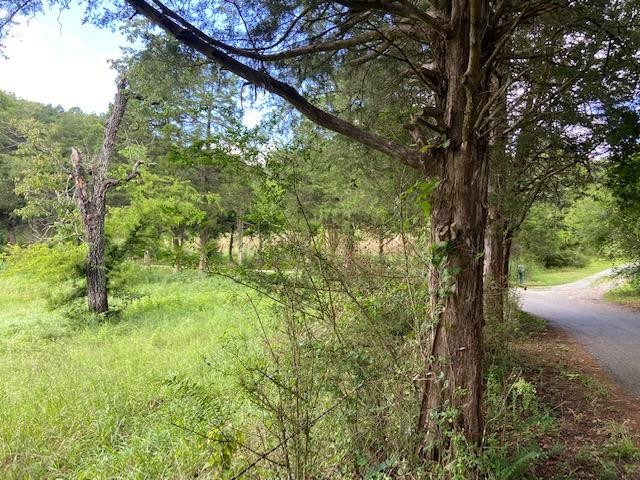 0 Pleasant Hill Road Philadelphia, TN 37846 - Photo 6 of 17