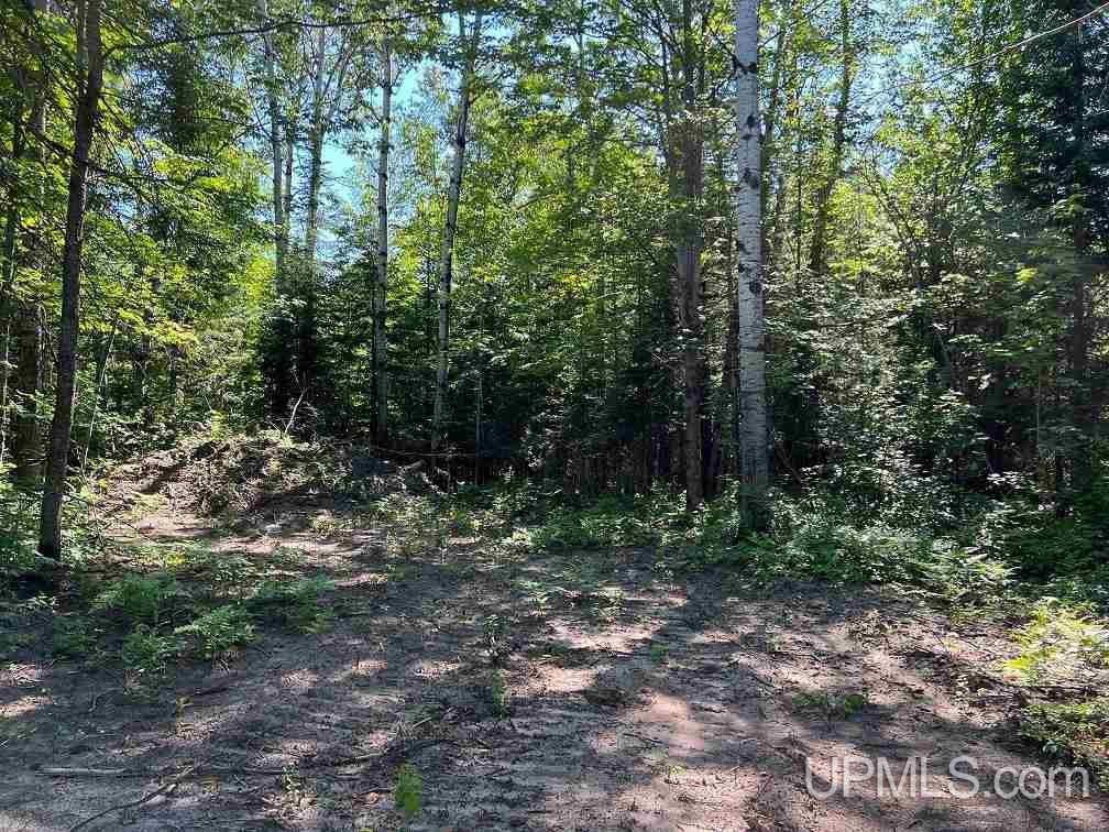 Tbd1 Dog Patch Road, Unit LOT H Lanse, MI 49946 - Photo 10 of 24 Gallery Image 10
