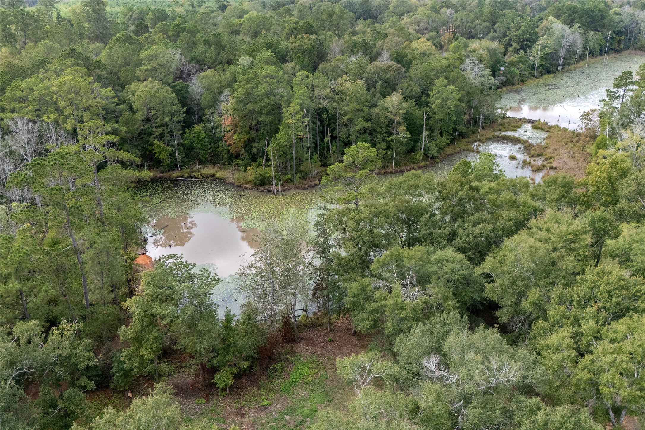 Tbd Sandy Creek Road Willis, TX 77378 - Photo 7 of 8 Boggy Creek, stocked, you are able to fish here.
