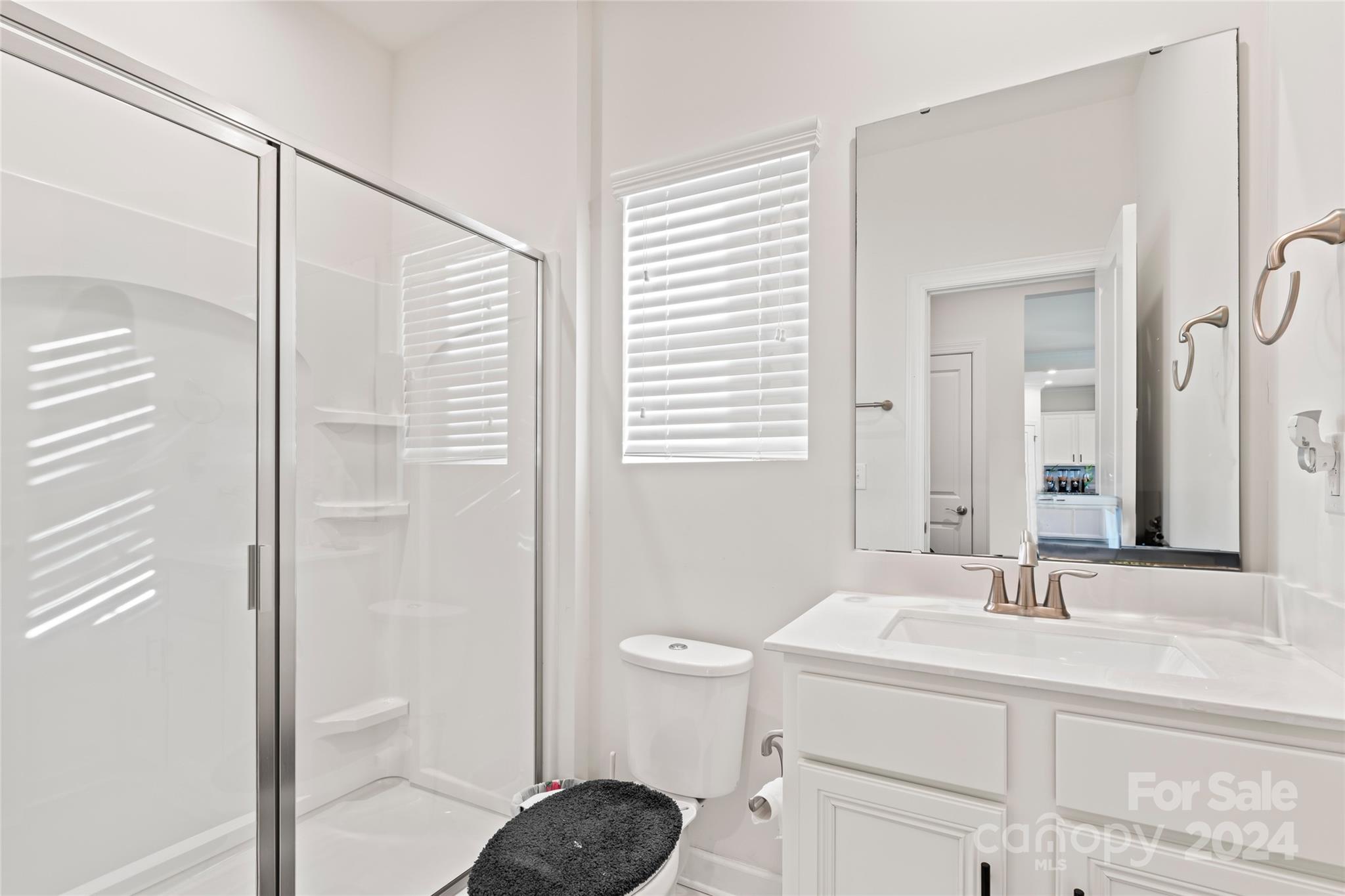 7227 Rupell Drive Charlotte, NC 28273 - Photo 19 of 45 a bathroom with a sink a toilet and shower