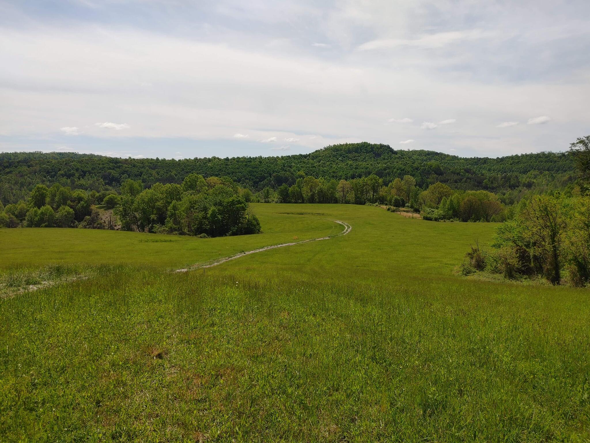 0 Lloyd Hollow Road, Unit TRACT #6 Corbin, KY 40701 - Photo 6 of 6 E0C12B33-B644-4E30-A60A-E6F016BBF571