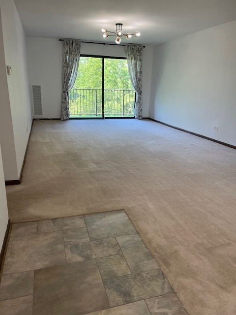 950 East Wilmette Road, Unit 422 Palatine, IL 60074 - Photo 5 of 25 Gallery Image 5