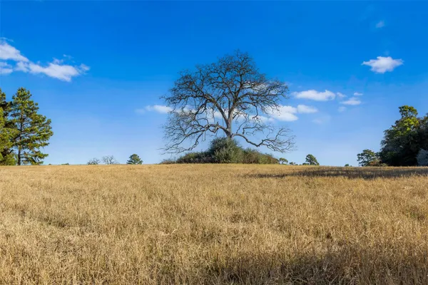 a view of a swimming pool and an outdoor space