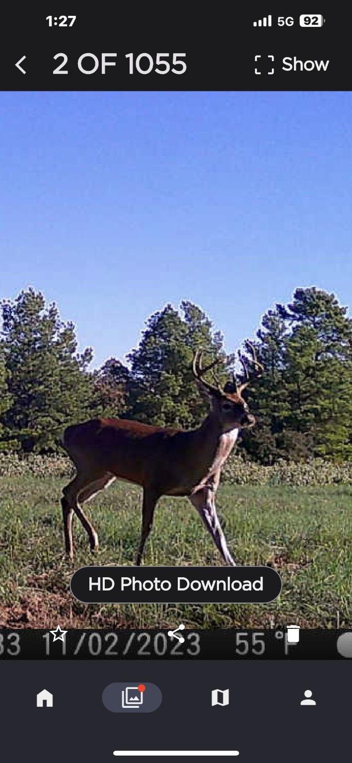 1315 Centerville Tx 75833 Centerville, TX 75833 - Photo 11 of 40 a view of a couch and a table