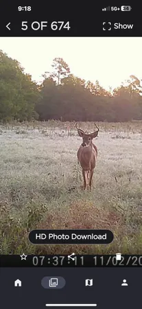 a view of a field with an ocean