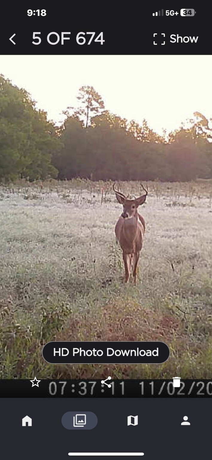 1315 Centerville Tx 75833 Centerville, TX 75833 - Photo 12 of 40 a black and white photo of a room