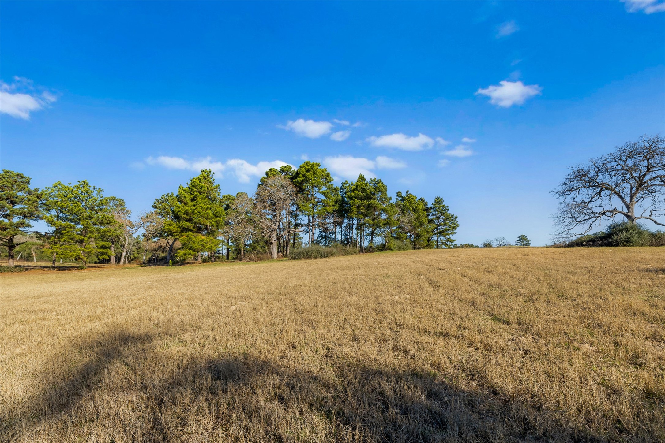 1315 Centerville Tx 75833 Centerville, TX 75833 - Photo 14 of 40 a view of a field with an ocean