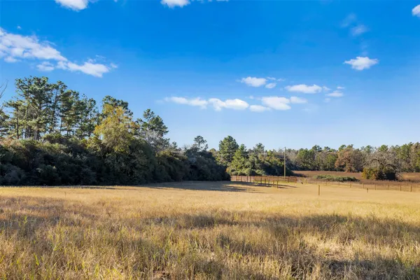 a view of a yard with plants