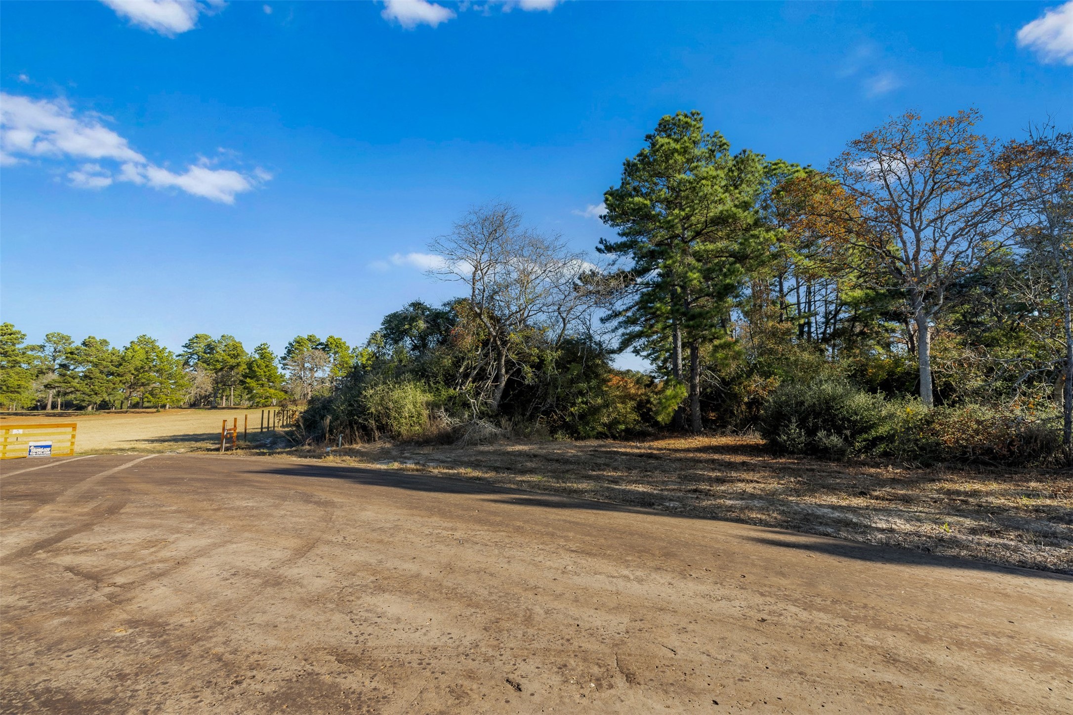 1315 Centerville Tx 75833 Centerville, TX 75833 - Photo 21 of 40 a view of a yard