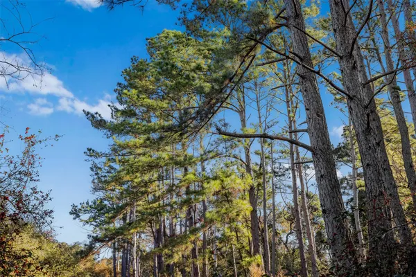 a view of an ocean and a yard