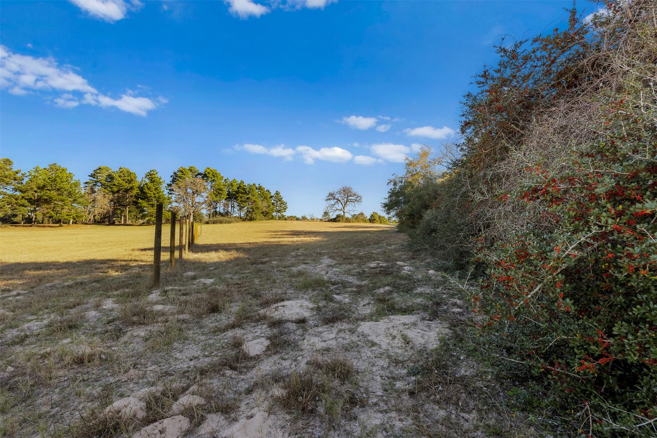 1315 Centerville Tx 75833 Centerville, TX 75833 - Photo 23 of 40 a view of a road with a yard
