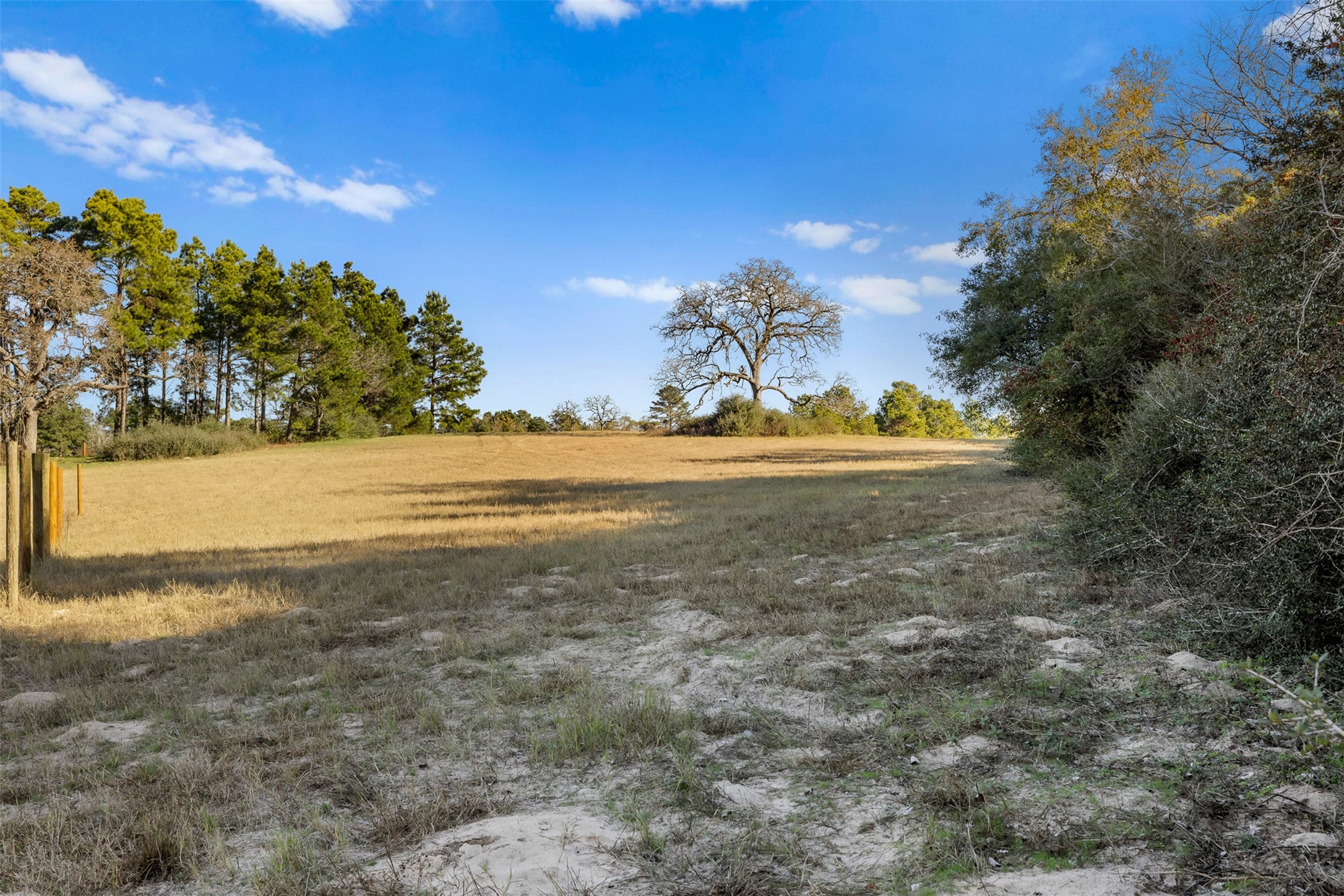 1315 Centerville Tx 75833 Centerville, TX 75833 - Photo 24 of 40 a view of an ocean and a yard