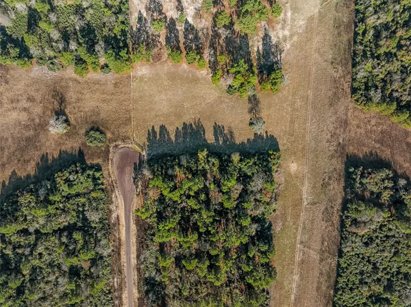 an aerial view of residential houses with outdoor space and trees
