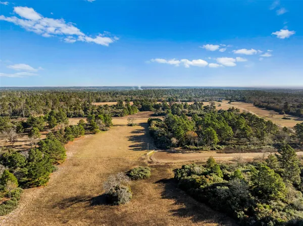 a view of a lake from a yard