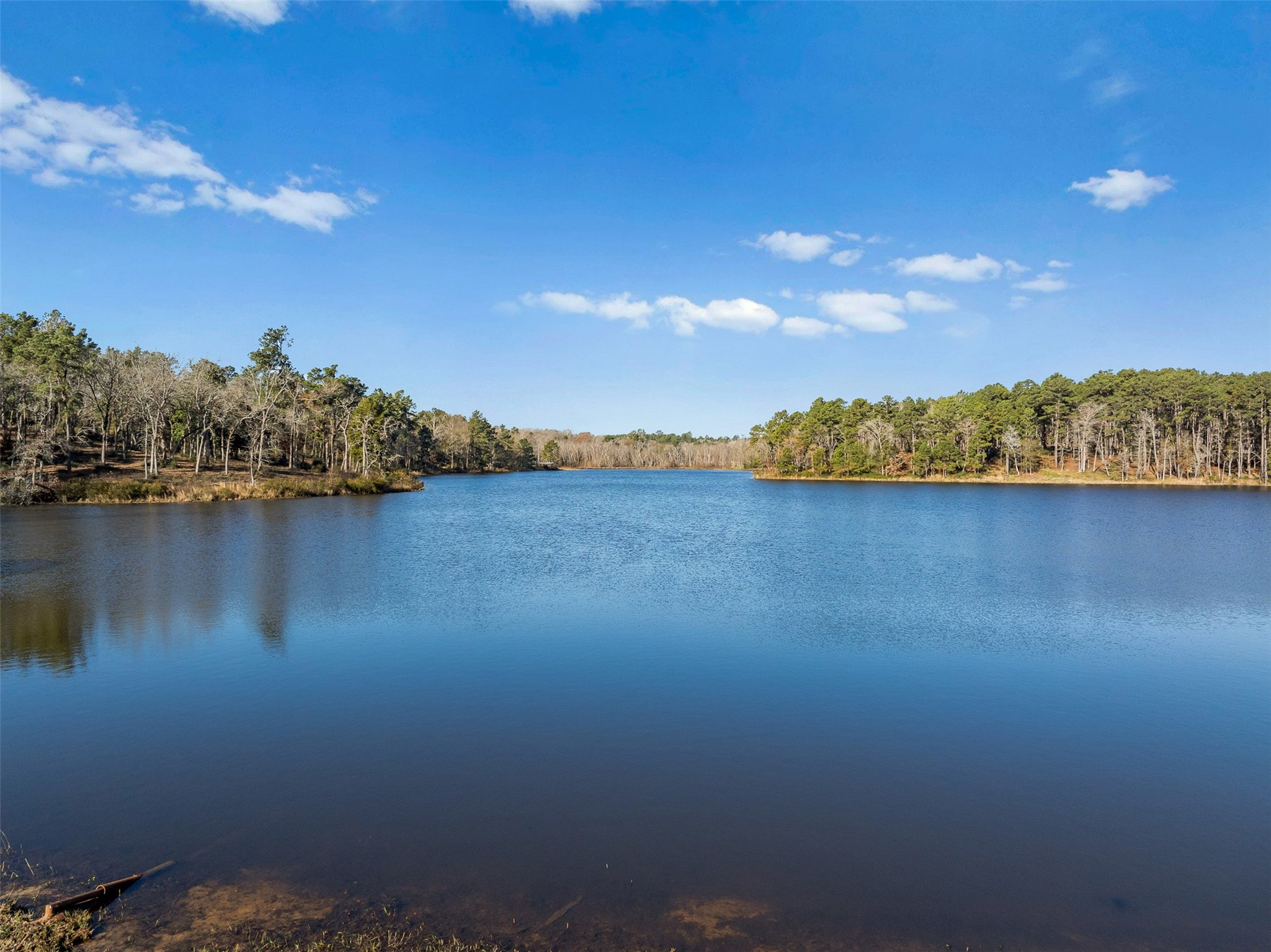 1315 Centerville Tx 75833 Centerville, TX 75833 - Photo 40 of 40 a view of a lake from a yard