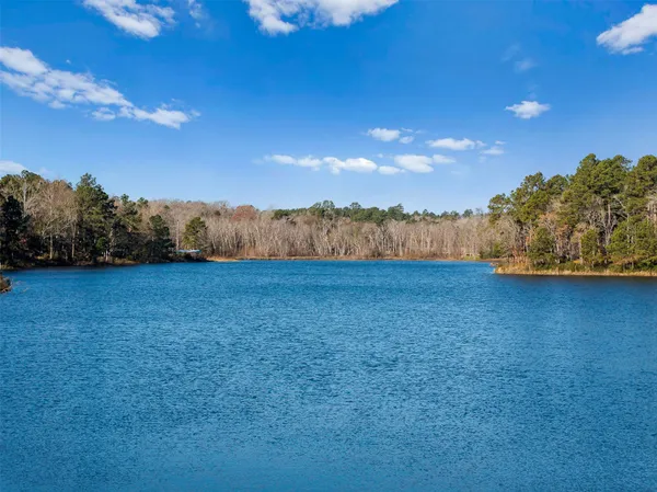 a view of swimming pool with lawn chairs and large trees