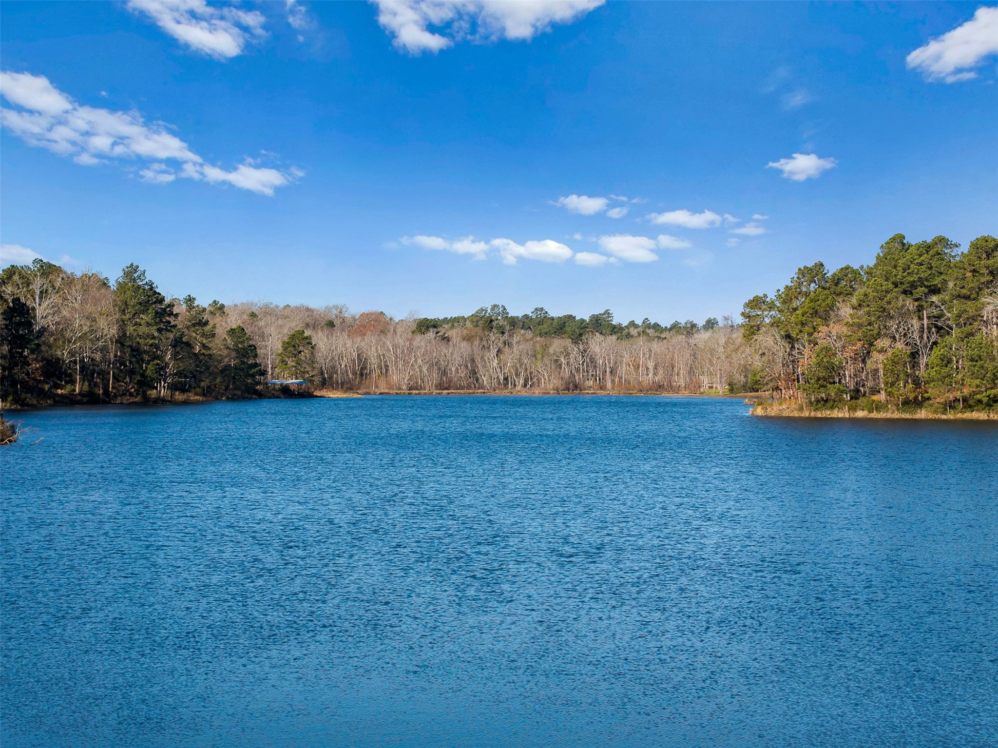 1315 Centerville Tx 75833 Centerville, TX 75833 - Photo 7 of 40 a view of a yard
