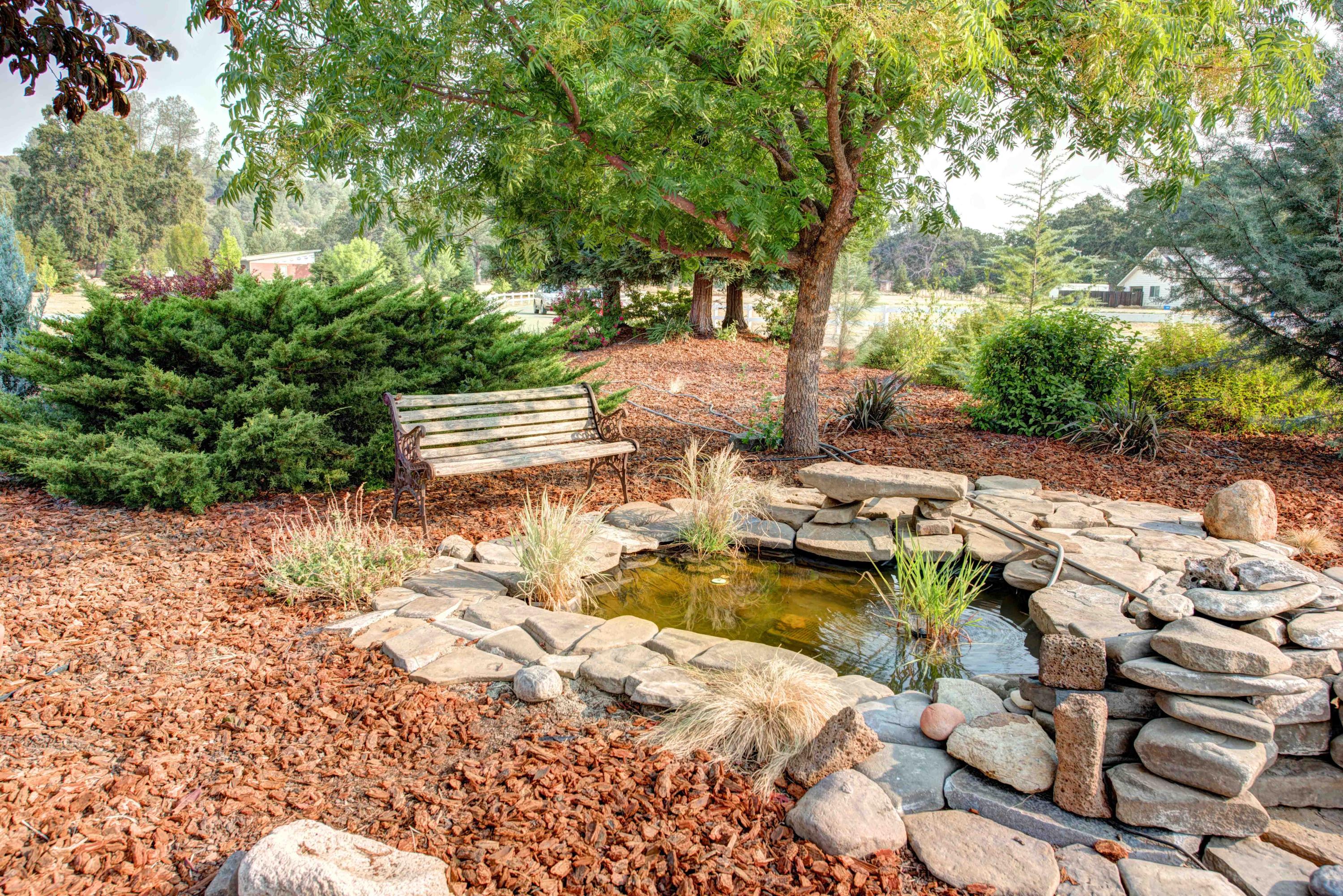 9787 Oak Run Road Oak Run, CA 96069 - Photo 7 of 67 Pond