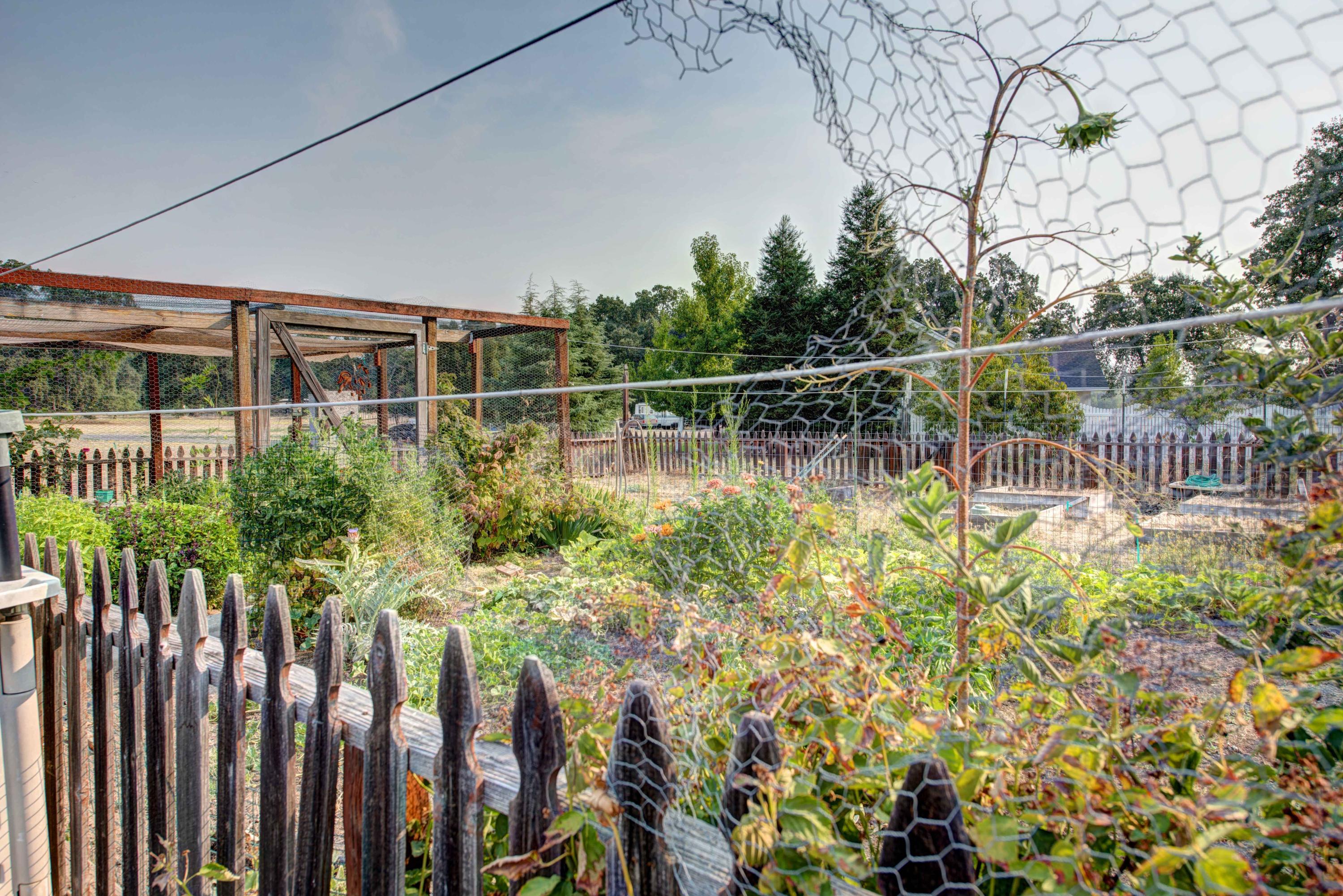 9787 Oak Run Road Oak Run, CA 96069 - Photo 9 of 67 Enclosed garden