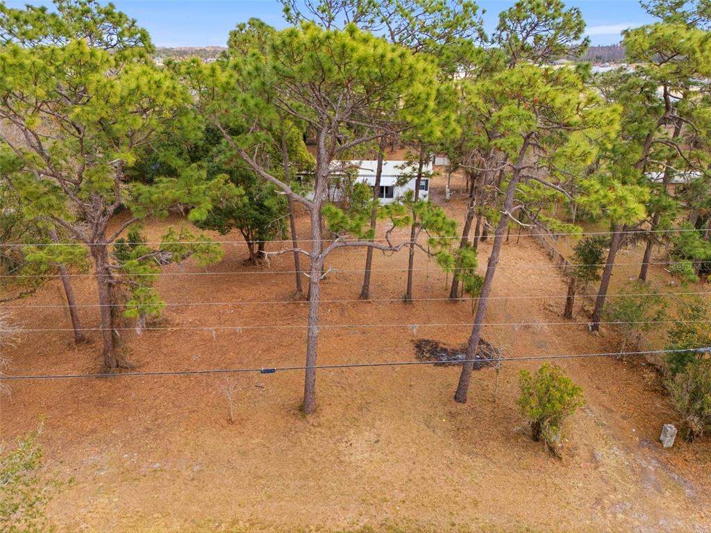 3906 Fox Ridge Boulevard Wesley Chapel, FL 33543 - Photo 54 of 58 Gallery Image 54