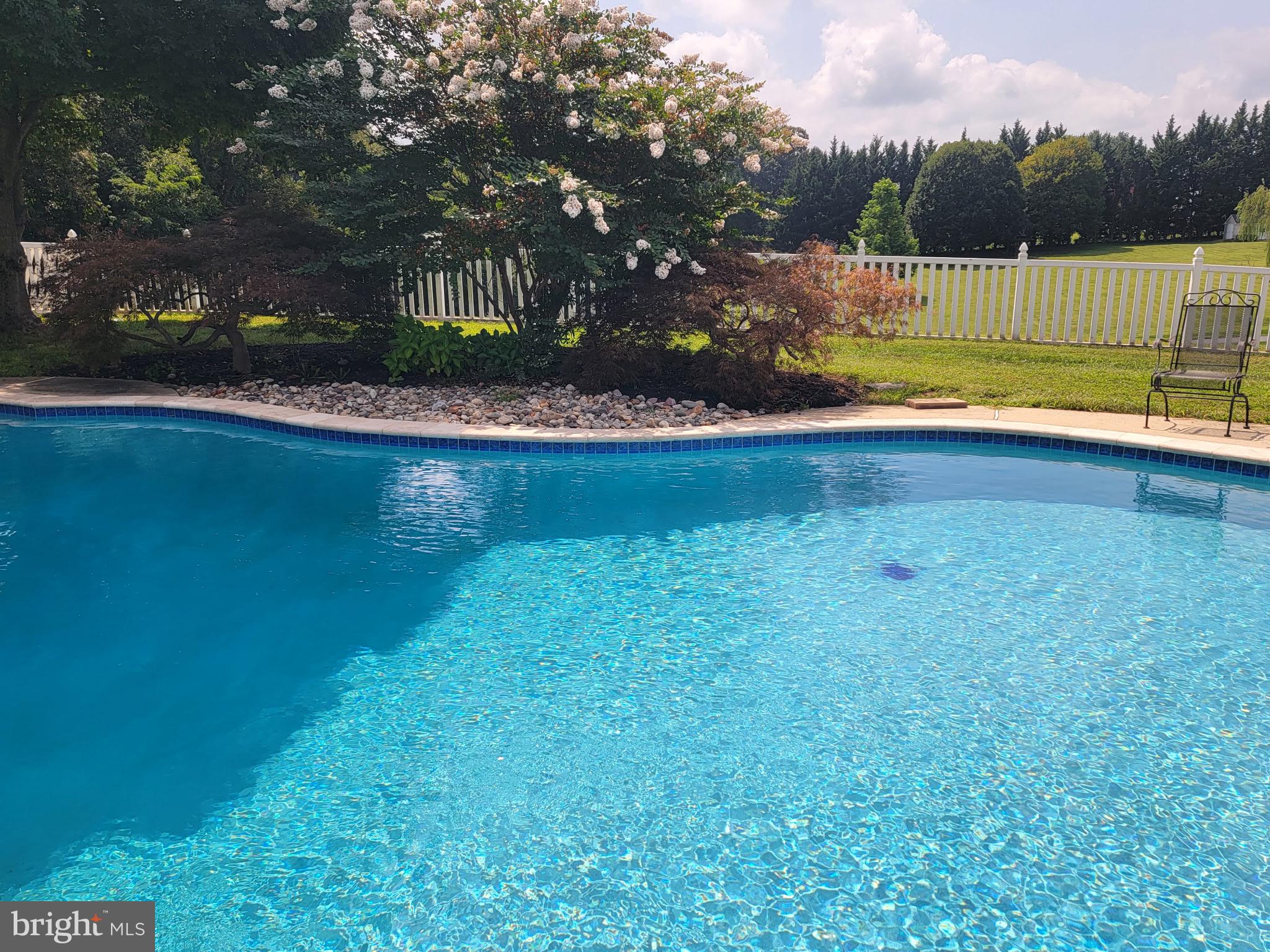 15005 Bushy Park Road Woodbine, MD 21797 - Photo 58 of 75 PEBBLETEC STYLE POOL REFINISHED RECENTLY