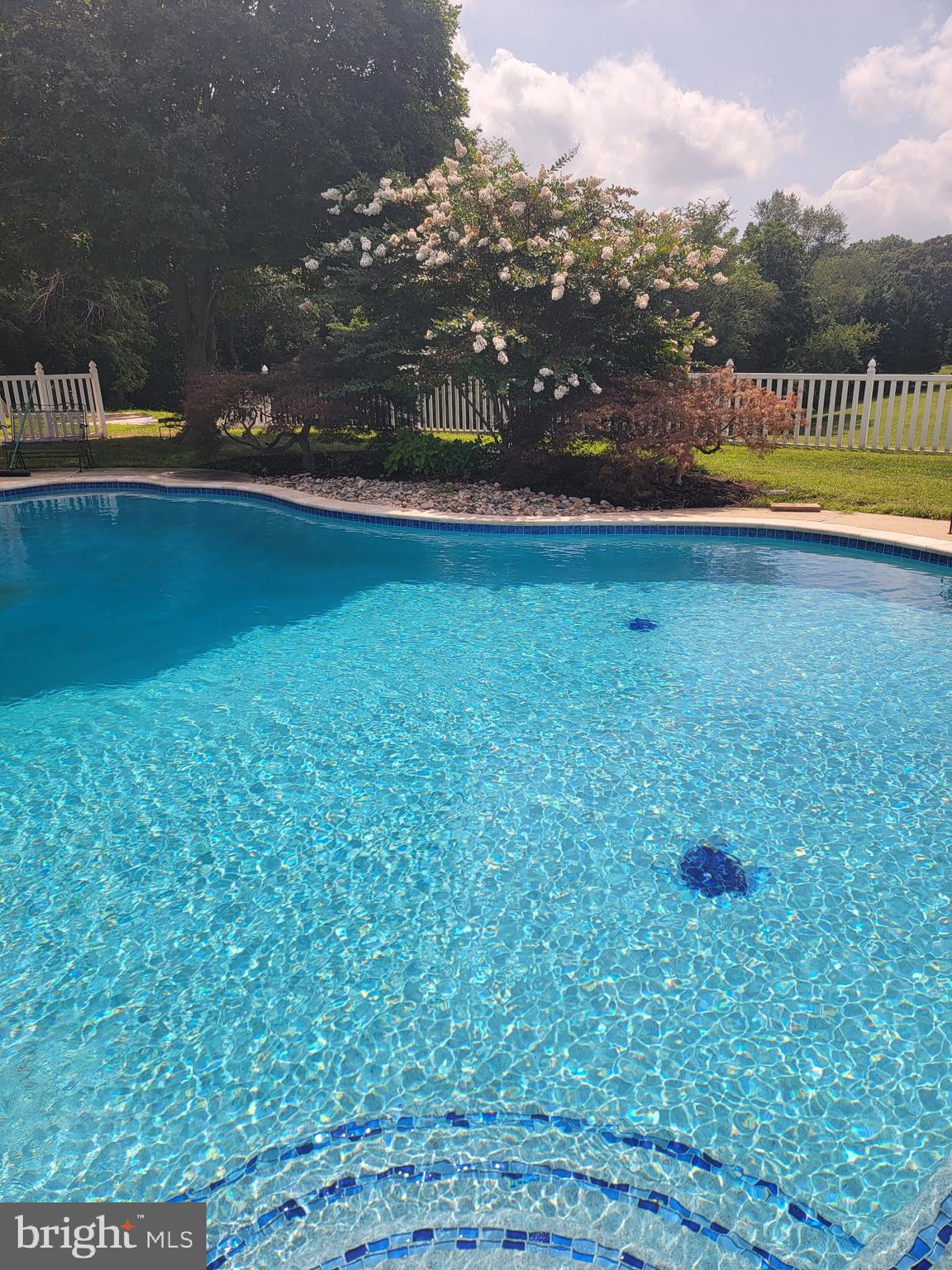 15005 Bushy Park Road Woodbine, MD 21797 - Photo 60 of 75 RELAX POOLSIDE UNDER SUNNY SKIES