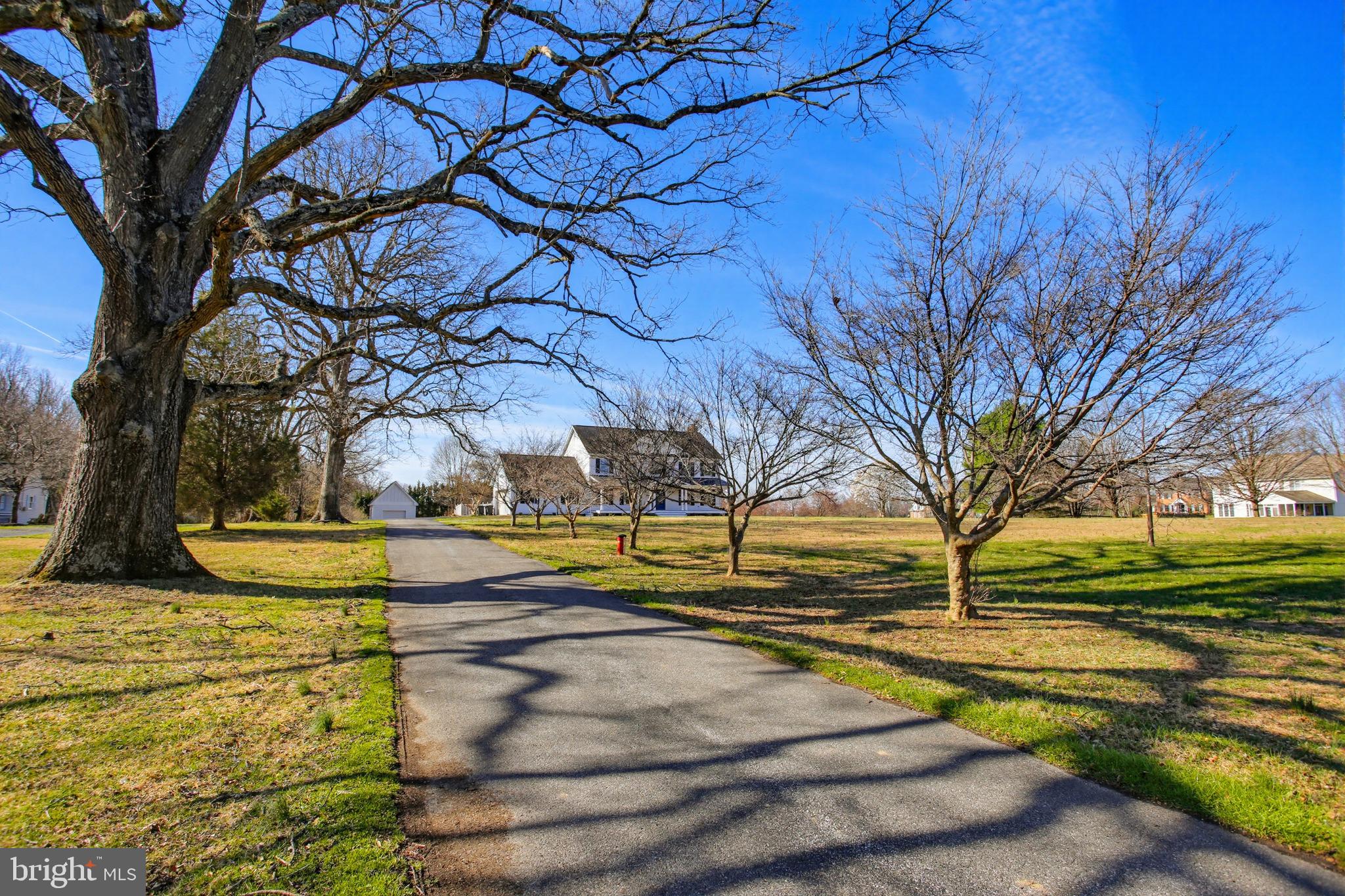 15005 Bushy Park Road Woodbine, MD 21797 - Photo 67 of 75 TREE LINED DRIVE WITH DOGWOODS AND MATURE OAKS
