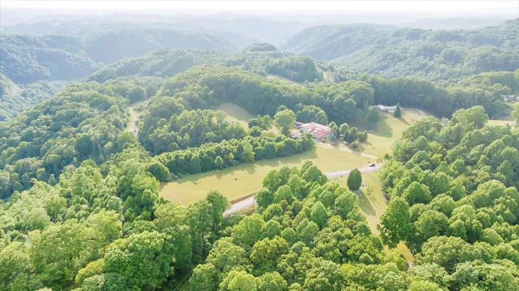 885 North Hazel Mountain Road Dante, VA 24237 - Photo 27 of 74 Gallery Image 27