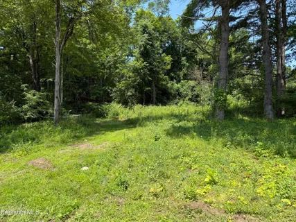 a view of backyard with green space