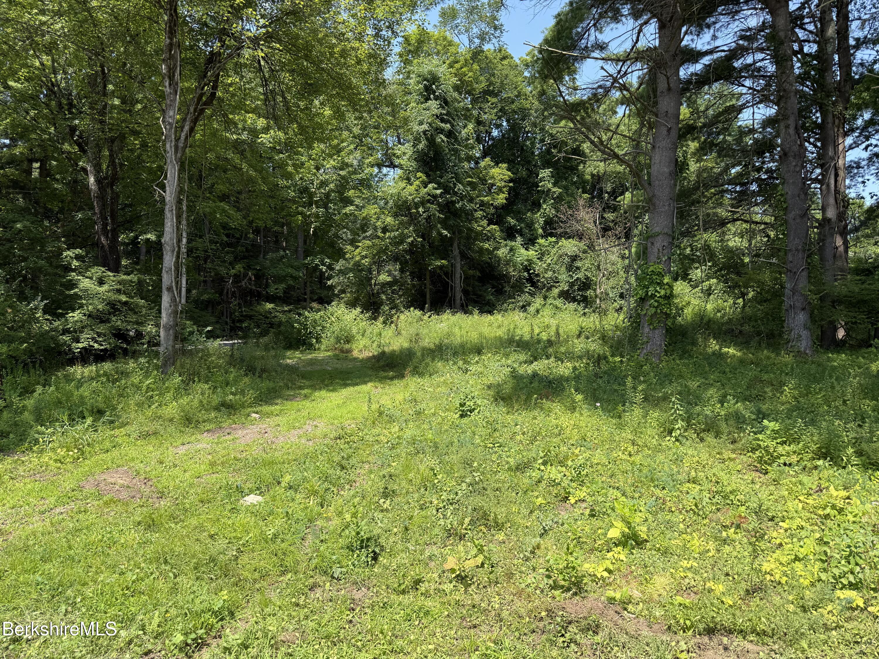 14 McGee Road Egremont, MA 01230 - Photo 3 of 6 a view of backyard with green space