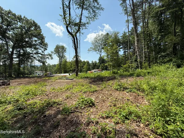 a view of backyard with green space