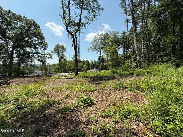 a view of backyard with green space