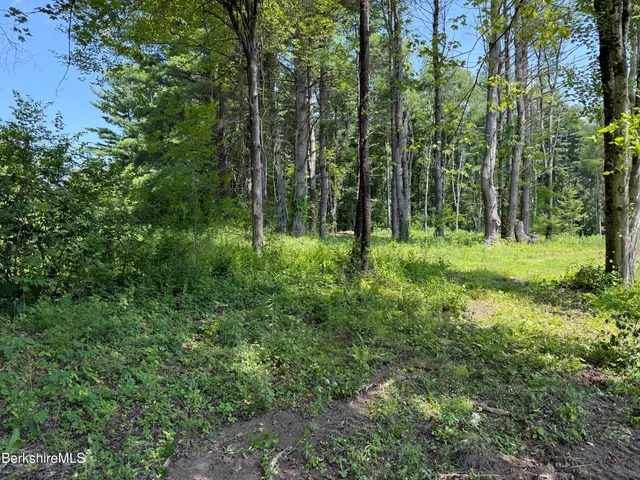a view of outdoor space and trees