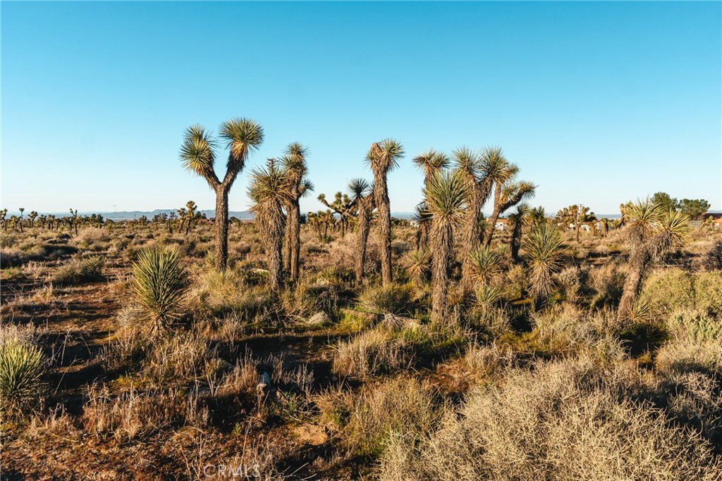 1 Rancho Road Phelan, CA 92371 - Photo 24 of 31 a view of a city