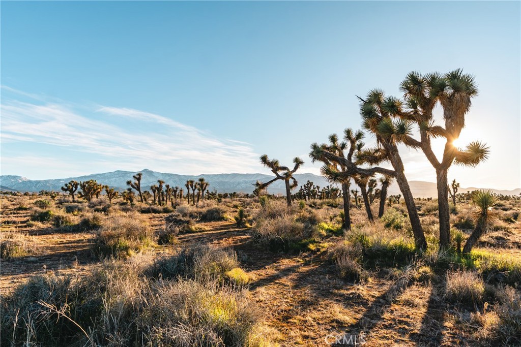 1 Rancho Road Phelan, CA 92371 - Photo 25 of 31 a view of a city