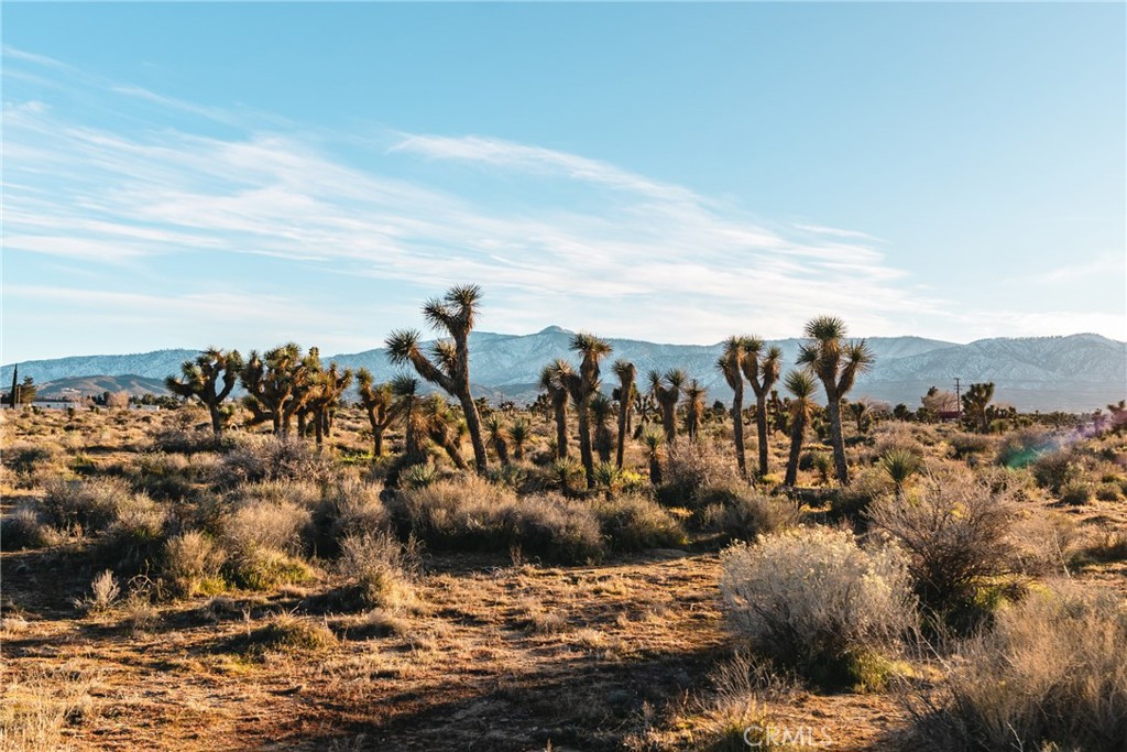 1 Rancho Road Phelan, CA 92371 - Photo 26 of 31 a view of a city