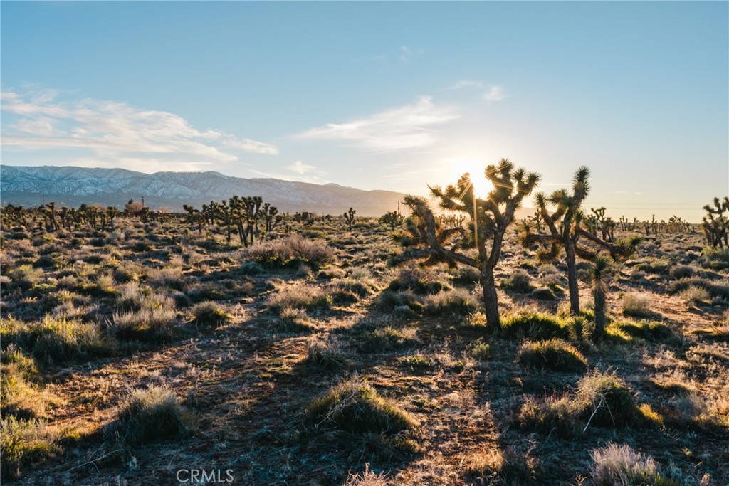 1 Rancho Road Phelan, CA 92371 - Photo 29 of 31 a view of a city