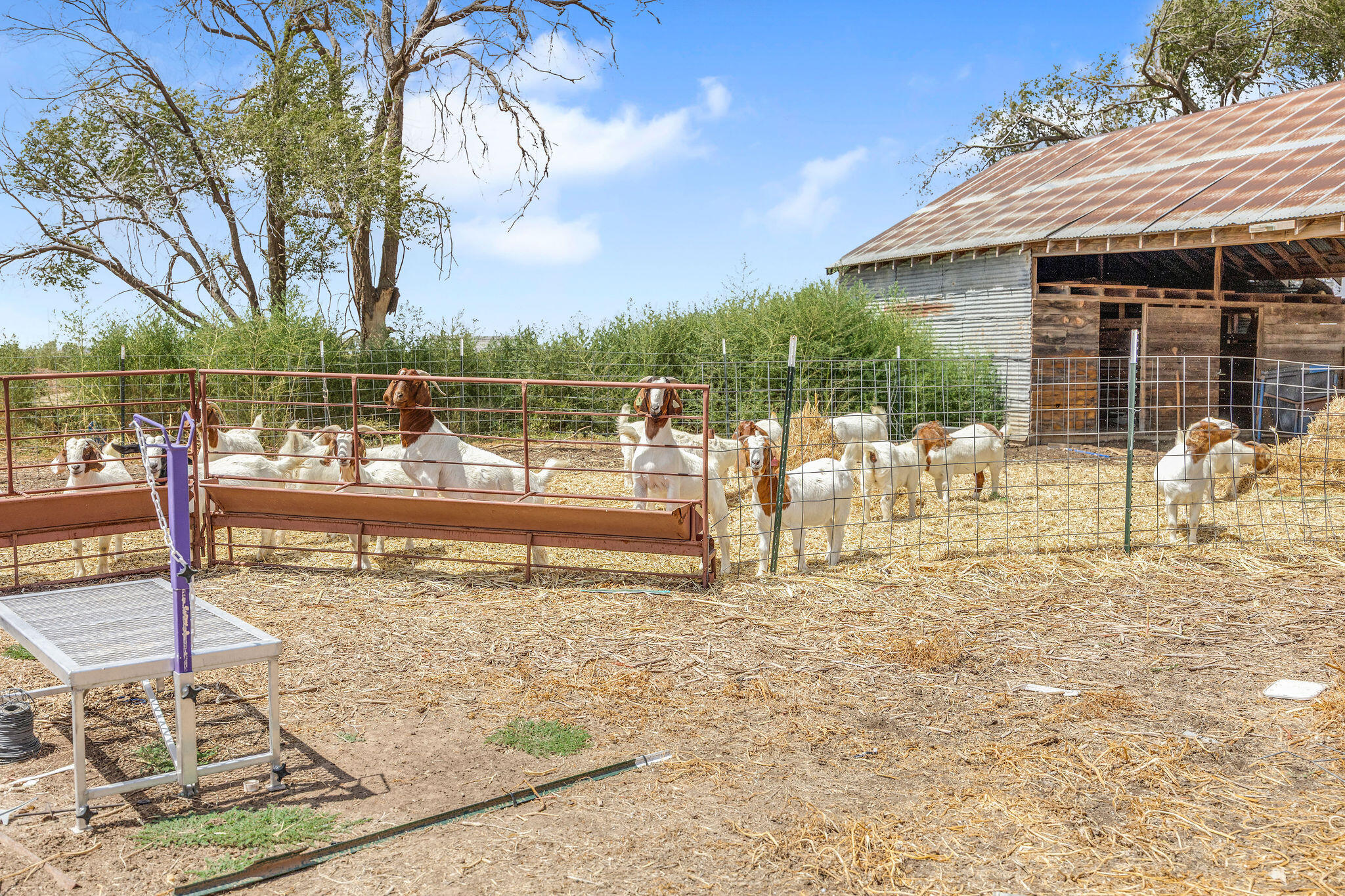 17710 C R 2720 Slaton, TX 79364 - Photo 52 of 56 B66A3599