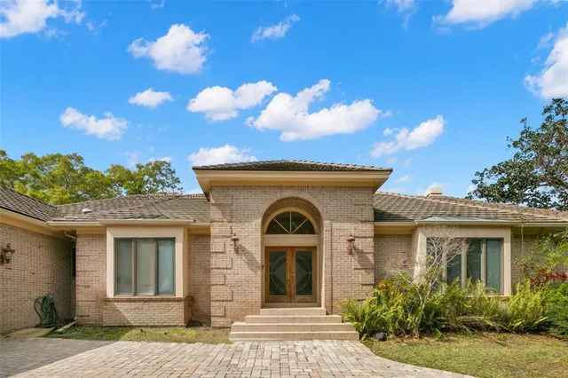 a view of a house with potted plants and a large tree