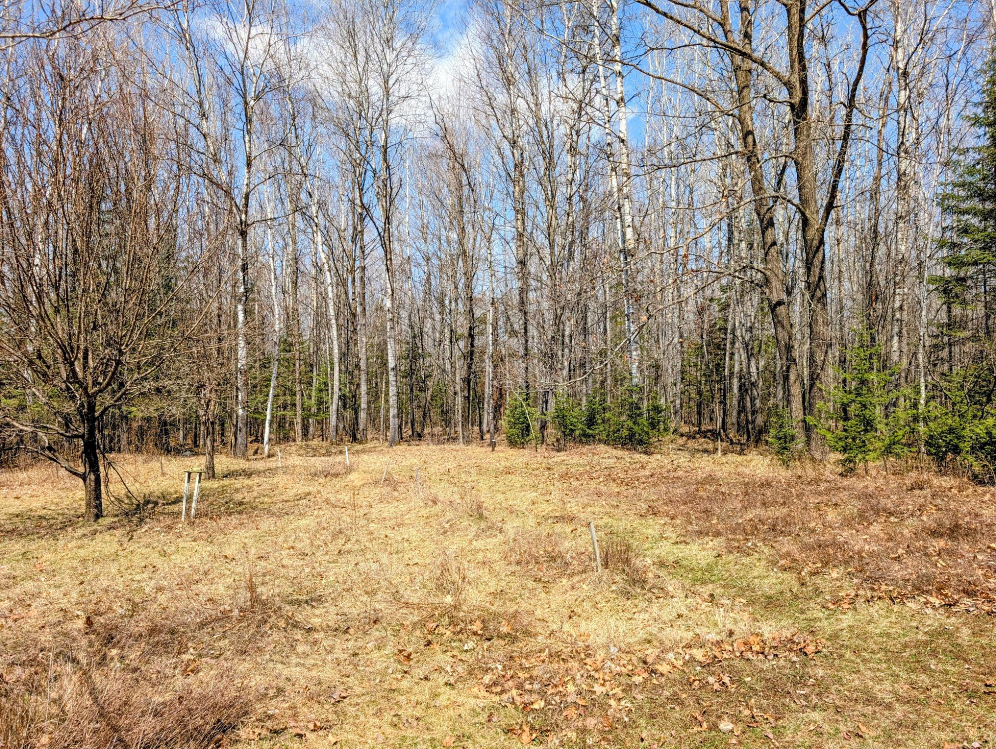 W7150 Maple Ridge Lane Phillips, WI 54555 - Photo 38 of 57 Gallery Image 38