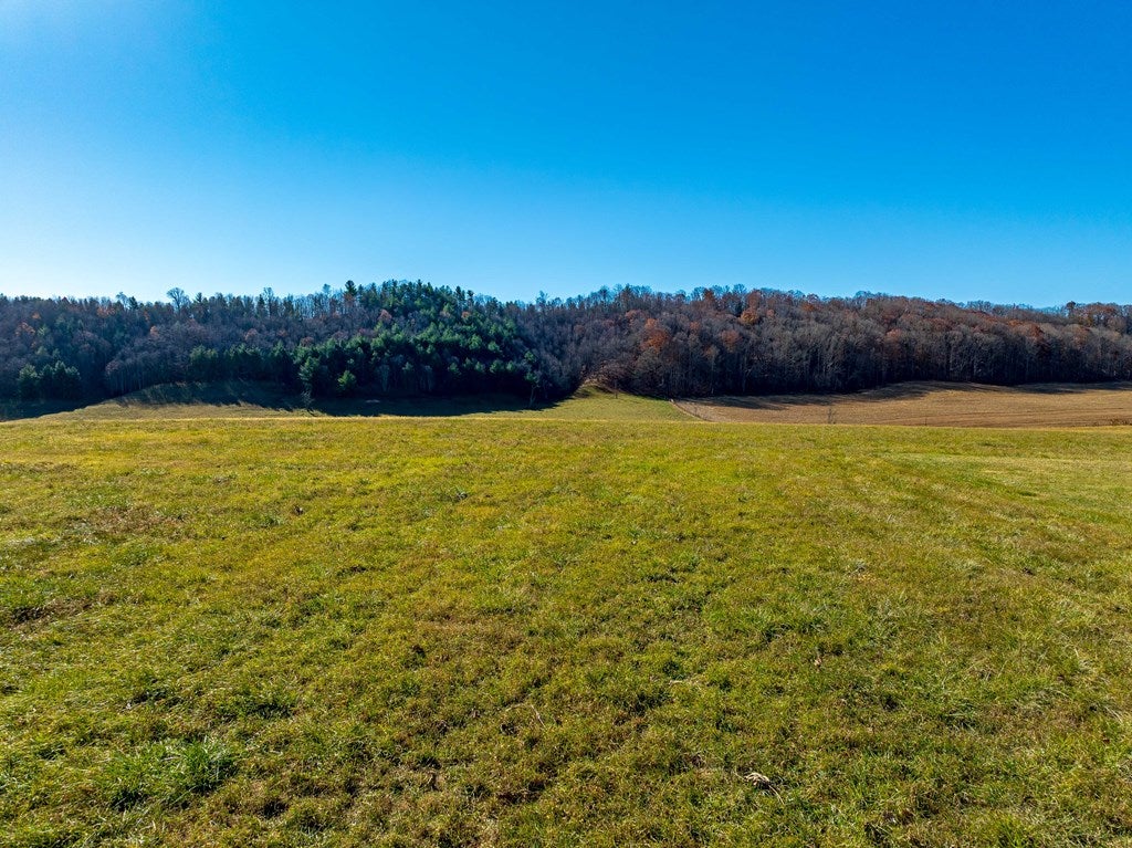 Tbd Gap Of Ridge Road Rural Retreat, VA 24368 - Photo 22 of 85 Gallery Image 22