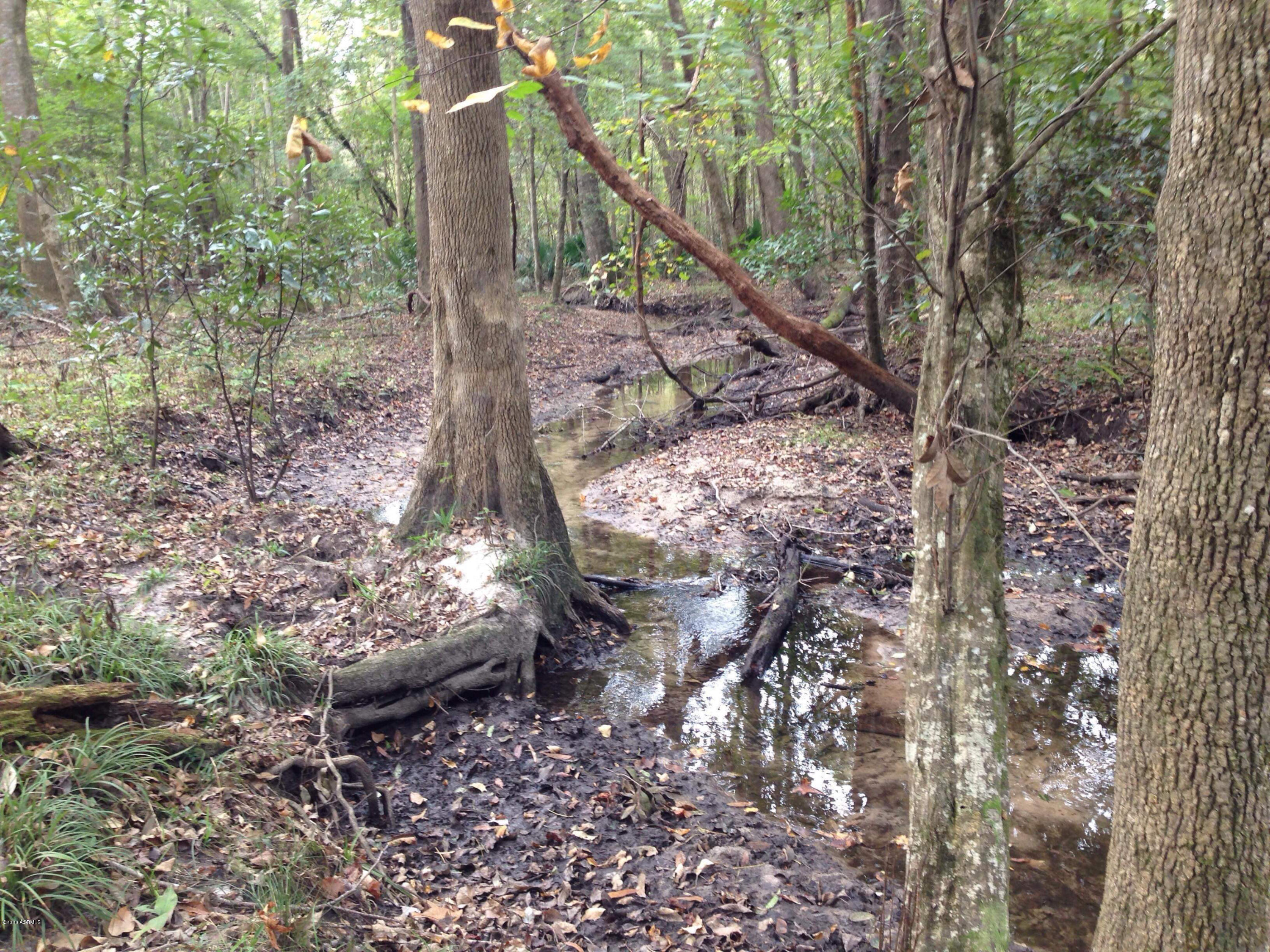 1700 Turpentine Still Road Brunson, SC 29911 - Photo 1 of 5 Image