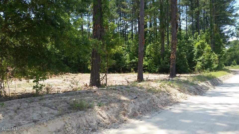 1700 Turpentine Still Road Brunson, SC 29911 - Photo 2 of 5 Image-1