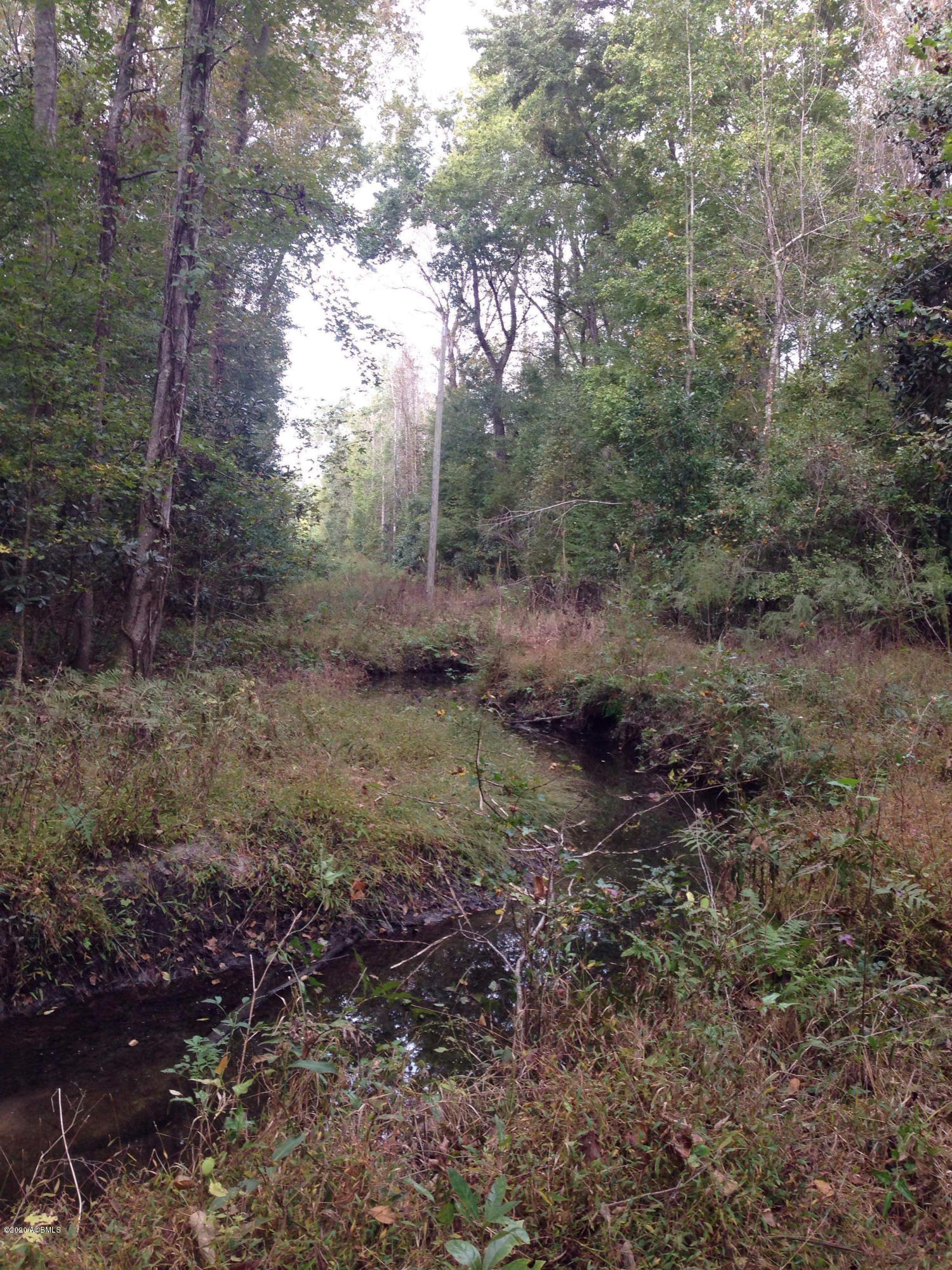 1700 Turpentine Still Road Brunson, SC 29911 - Photo 4 of 5 Image-3