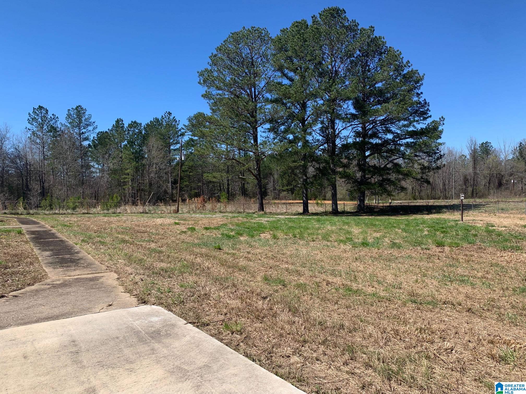78 Middleton Road South Ohatchee, AL 36271 - Photo 7 of 31