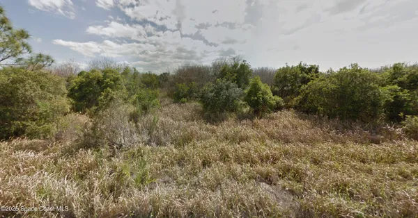a view of a field of grass and trees