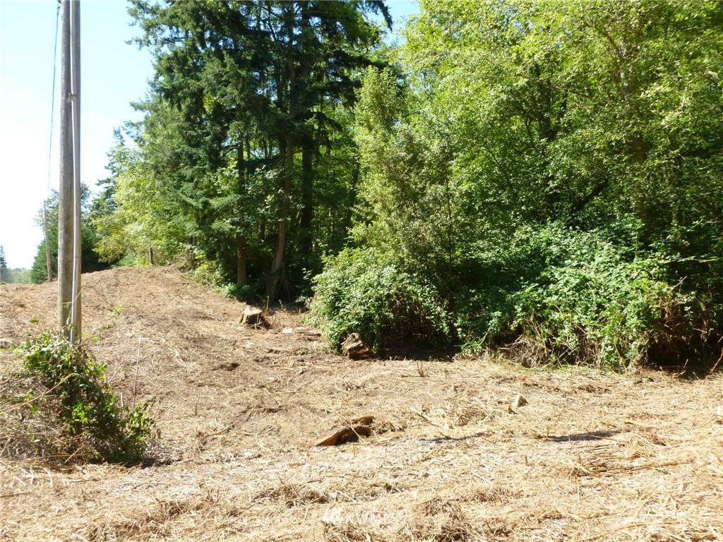 1400 Midcrest Road Camano Island, WA 98282 - Photo 6 of 6 Gallery Image 6