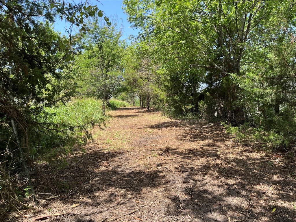 910 Kentucky Town Road Whitewright, TX 75491 - Photo 13 of 22