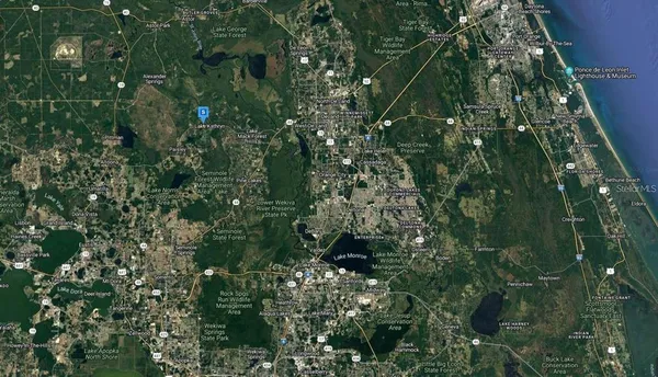 a close up of a plant